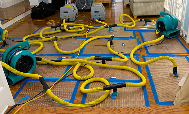 Professional Crawl Space Water Removal technician working in Belmont, MS